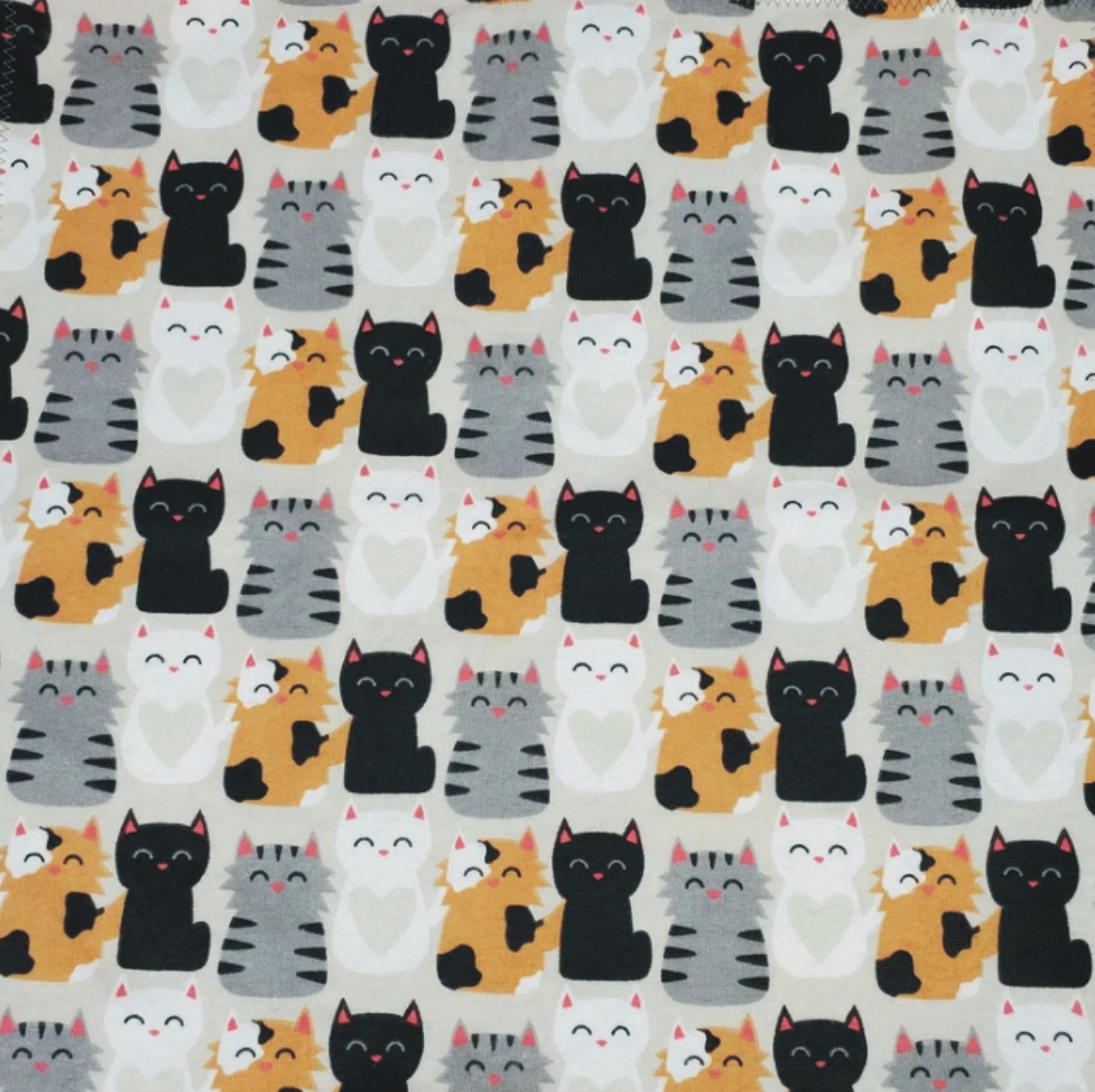 Kids Cats Flannal pyjama set for winter